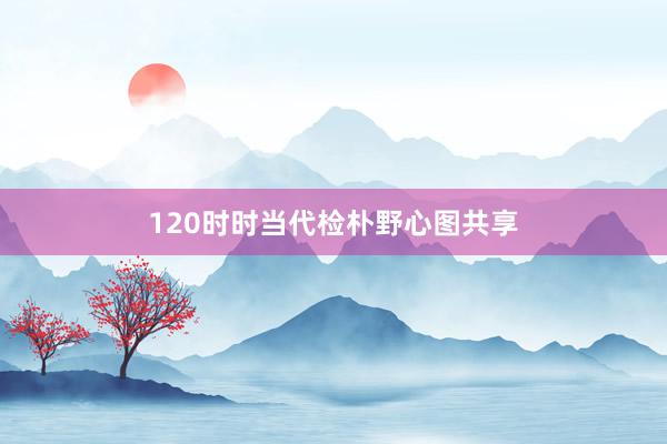 120时时当代检朴野心图共享