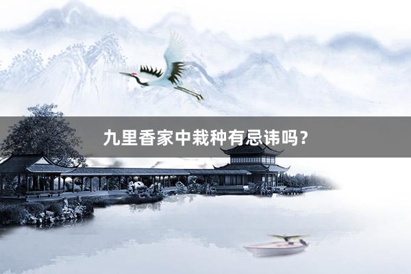 九里香家中栽种有忌讳吗？