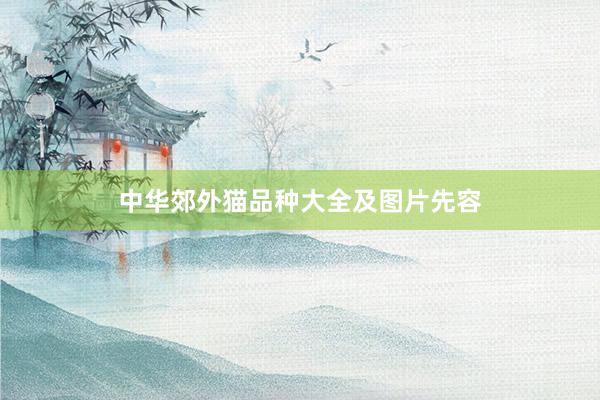 中华郊外猫品种大全及图片先容