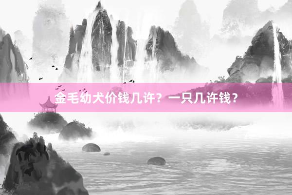 金毛幼犬价钱几许?一只几许钱?