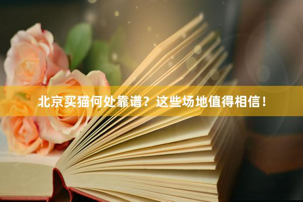 北京买猫何处靠谱？这些场地值得相信！